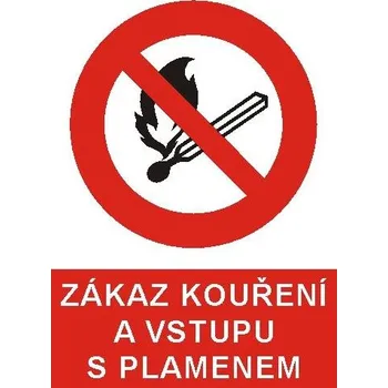 Zákaz kouření a vstupu s plamenem - plast A5