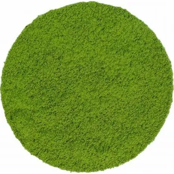 Čaj Alveus Bio prémiový práškový zelený čaj na vaření a pečení 30 g