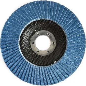 Brusný kotouč Kotouč lamelový brusný Ø 125 x 22,2 mm, P80