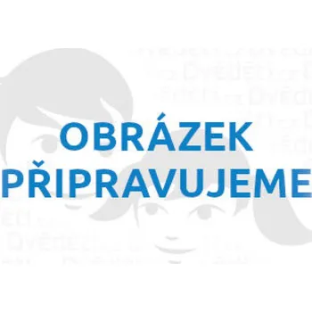 Dětské zboží Bigjigs Toys Dřevěný koník na tyči - poškozený obal