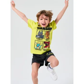 Chlapecké tričko Sinsay - Tričko s krátkými rukávy a potiskem How to train your dragon - neonová - 136EJ-71X - 136EJ-71X-104