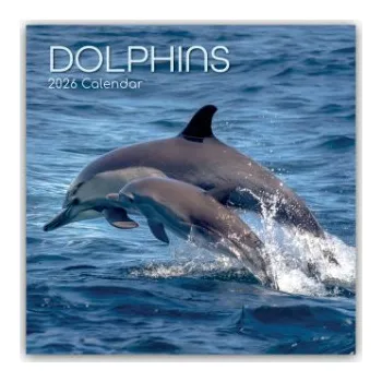 Diář Dolphins - Delfine - Delphine 2026 - 16-Monatskalender (EN)
