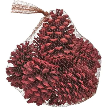 Vánoční dekorace Euro Habitat Velké šišky k dekorování - přírodní, pytel 10 cm bílá