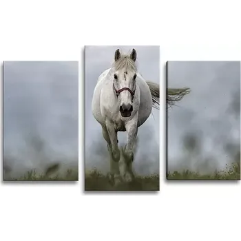 Obraz Sablio Obraz - 3-dílný Bílý kůň 3 - 75x50 cm