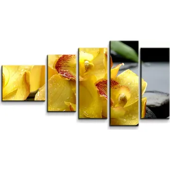 Obraz Sablio Obraz - 5-dílný Žluté orchideje - 100x60 cm