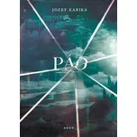 Pád - Jozef Karika (2025, pevná)