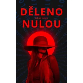 Kniha Děleno nulou elektronická kniha