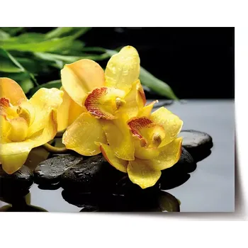 Plakát Sablio Plakát Žluté orchideje - 60x40 cm