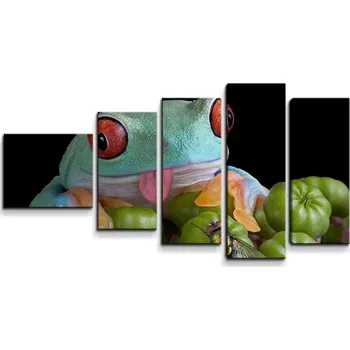 Obraz Sablio Obraz - 5-dílný Veselá žába - 100x60 cm