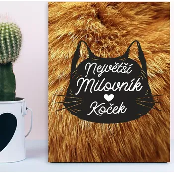 Plechová cedule Sablio Dárková cedulka Největší milovník koček: 30x40 cm