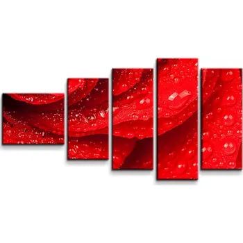 Obraz Sablio Obraz - 5-dílný Květ růže - 100x60 cm