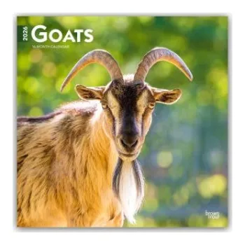 Diář Goats - Ziegen 2026 - 16-Monatskalender (EN)