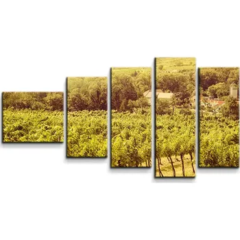 Obraz Sablio Obraz - 5-dílný Vinice - 100x60 cm