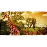 Sablio Ručník Žirafy - 30x50 cm