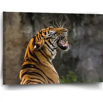 Obraz Sablio Obraz Řvoucí tygr - 60x40 cm