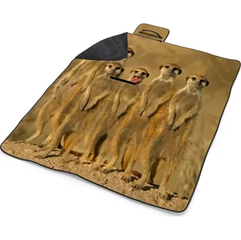 deka Sablio Plážová deka Surikaty: 200x140 cm