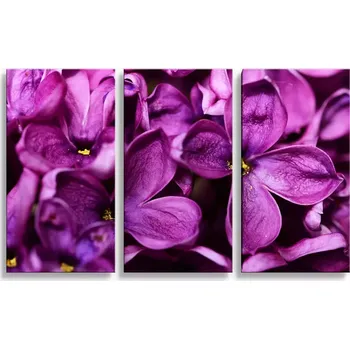 Obraz Sablio Obraz - 3-dílný Fialové květy - 120x80 cm
