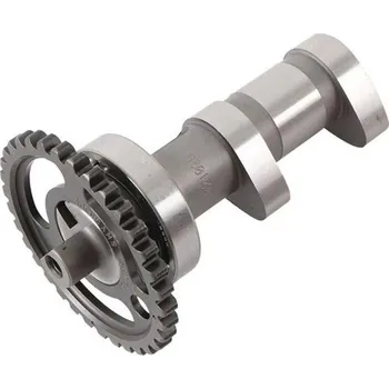 C&L COMPANIES Camshaft exhaust HOT CAMS 2073-1E