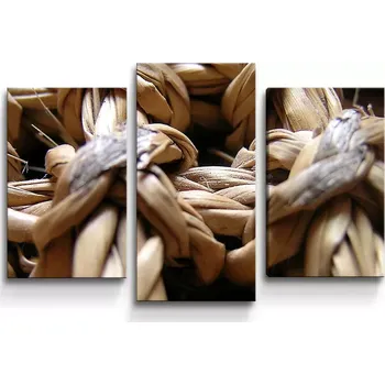 Obraz Sablio Obraz - 3-dílný Banánové listí - 75x50 cm