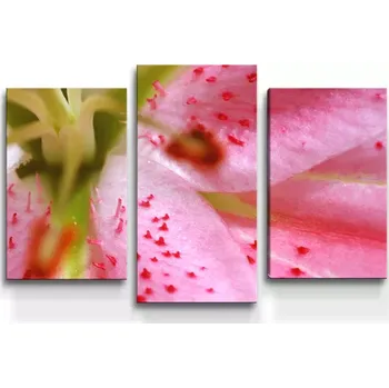 Obraz Sablio Obraz - 3-dílný Květ lilie - 75x50 cm
