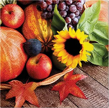 Papírový kapesník Ubrousky PAW L 33x33cm Autumn Treasures