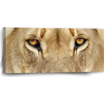 Obraz Sablio Obraz Pohled lvice - 110x50 cm