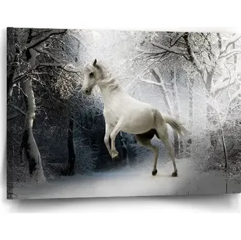 Obraz Sablio Obraz Bílý kůň - 60x40 cm