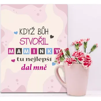 Plechová cedule Sablio Dárková cedulka Když Bůh stvořil maminky: 30x40 cm