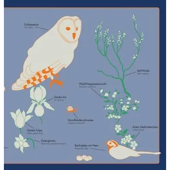 První čtění Kleine Vogel-Wunderkammer - Rother, Antje