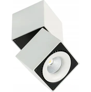 Kvadratový stropní reflektor Italux bílý, černý