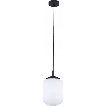 Závěsné svítidlo ocel lakovaná, skleněné stínidlo ESME Černé 5669 TK Lighting