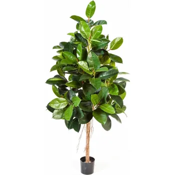 umělá květina Ficus Elastica umělý V 180 cm