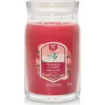 Yankee Candle Signature Santa On Skis