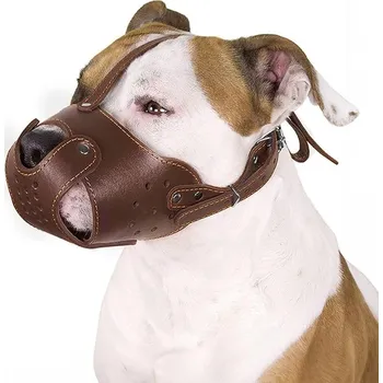Náhubek pro psa Kožený náhubek pro psy Pitbull, Amstaff, Stafordšírský teriér Collar