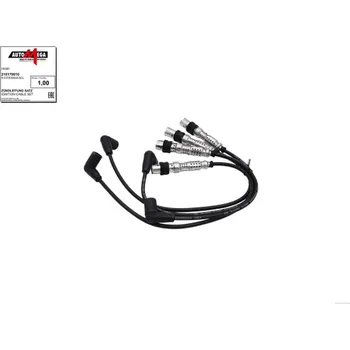 Zapalovací kabel Sada kabelů pro zapalování AUTOMEGA 210179910