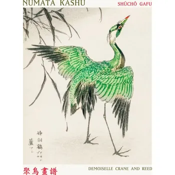 Plakát Plakát, Obraz - Demoiselle Crane & Reed (Asian Birds) - Numata Kashu