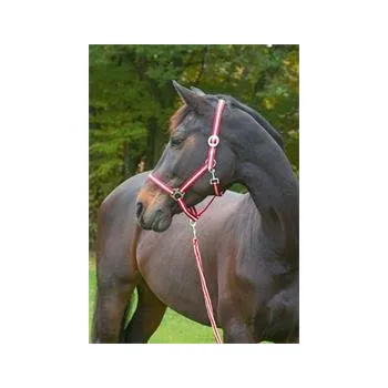 Jezdectví Covalliero Ohlávka HIPPO, červená Barva: Červená, Velikost: SHETTY