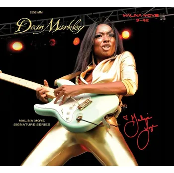 Struna pro kytaru a smyčcový nástroj Struny pro elektrickou kytaru Dean Markley Blue Steel 9-42