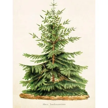 Obraz Vánoční přání 176 x 125 cm