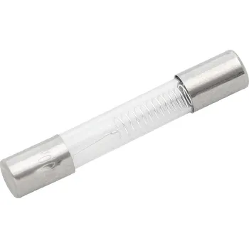 Autopojistky Pojistka do mikrovlnky 0,9A 5KV 40mm
