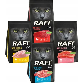 Krmivo pro kočku Dolina Noteci - Suché krmivo pro kočky Rafi Cat - mix 4 příchutí 4 x 1,5 kg