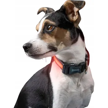 Obojek pro psa Svítící obojek pro psa USB LED SUPERLUX Petinio S Červený