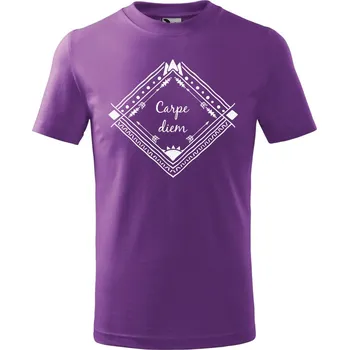 Chlapecké oblečení Dětské tričko s potiskem Carpe diem Velikost: 110 /4 roky, Barva trička: Fialová