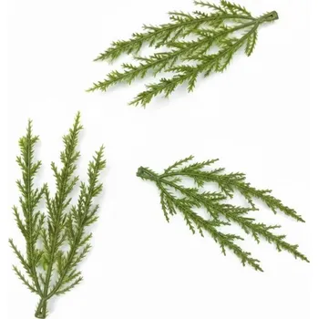 umělá květina Umělá větvička thuje 11,5 cm, zelená