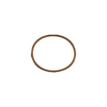 Těsnění výfuku O-kroužek Iveco Eurocargo turbíny 17283481 IVECO