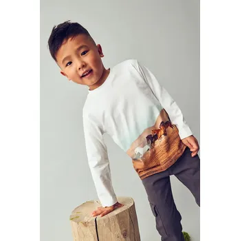 Dětské bavlněné tričko s dlouhým rukávem Mayoral béžová barva, 4094 4094.5G.Mini.9BYA 01X, vel. 134