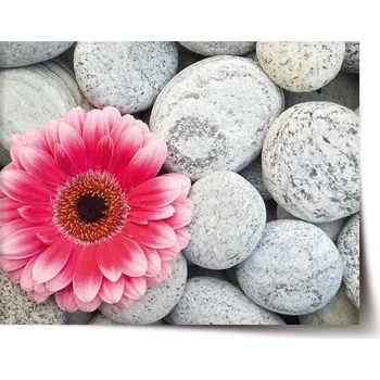 Plakát Sablio Plakát Gerbera na kamenech - 120x80 cm