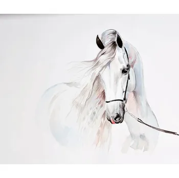 Fototapeta Fototapeta S KONĚM BÍLÍ KONĚ Obývák 368x254