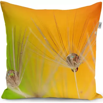 Polštář Sablio Polštář Odkvetlé pampelišky 2 - 50x50 cm