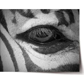 Plakát Sablio Plakát Oko zebry - 60x40 cm
